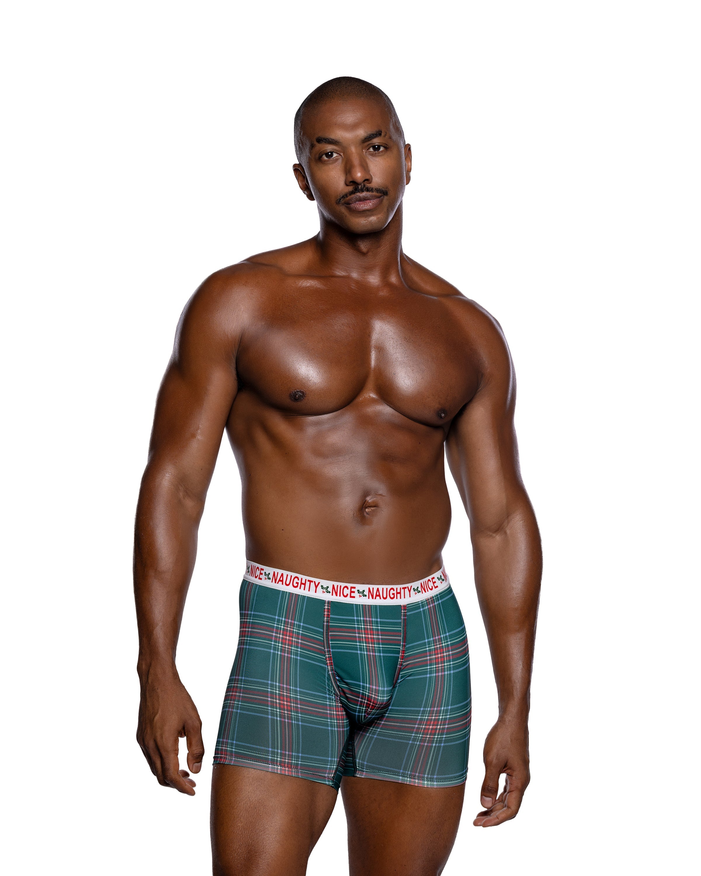 Naughty & Nice Men's Plaid Modal Boxer Briefs - Christmas Gift in Black/Green - front view