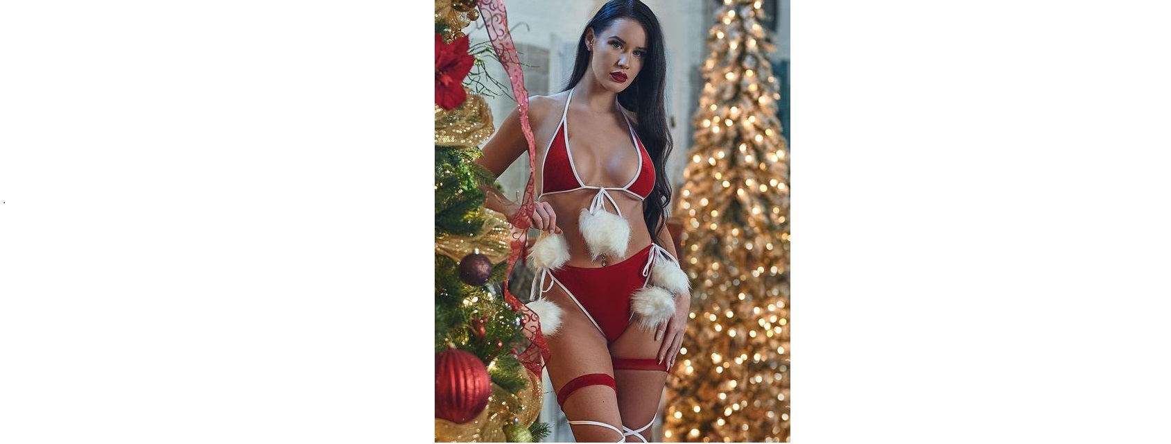 Entice Your Partner with Sexy Christmas Costumes