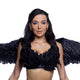 Black Stunning Feathered Wings Halloween costume accessory at RaveFix