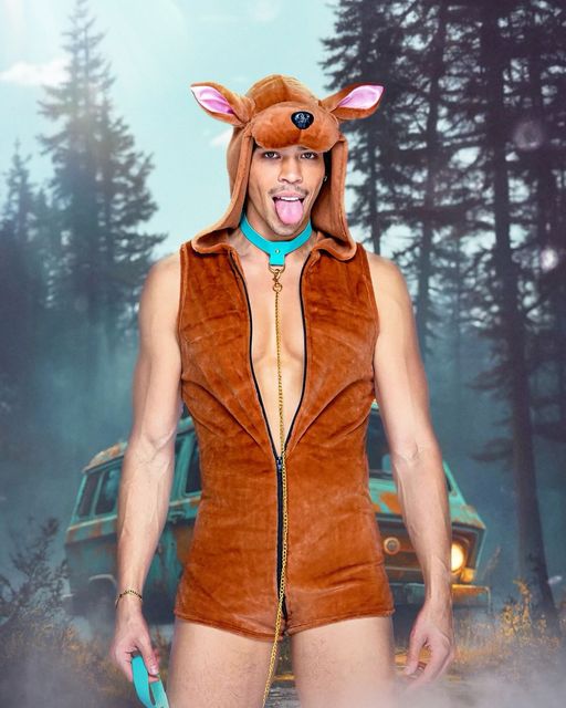 Men's dog costume, fleece jumpsuit with hood