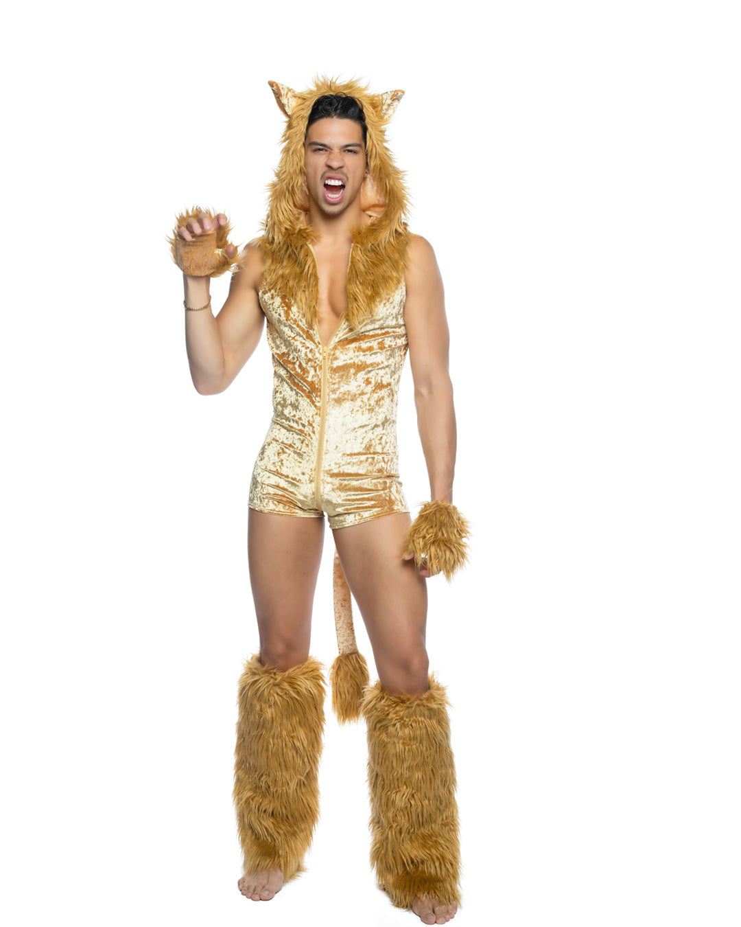 Men's lion costume